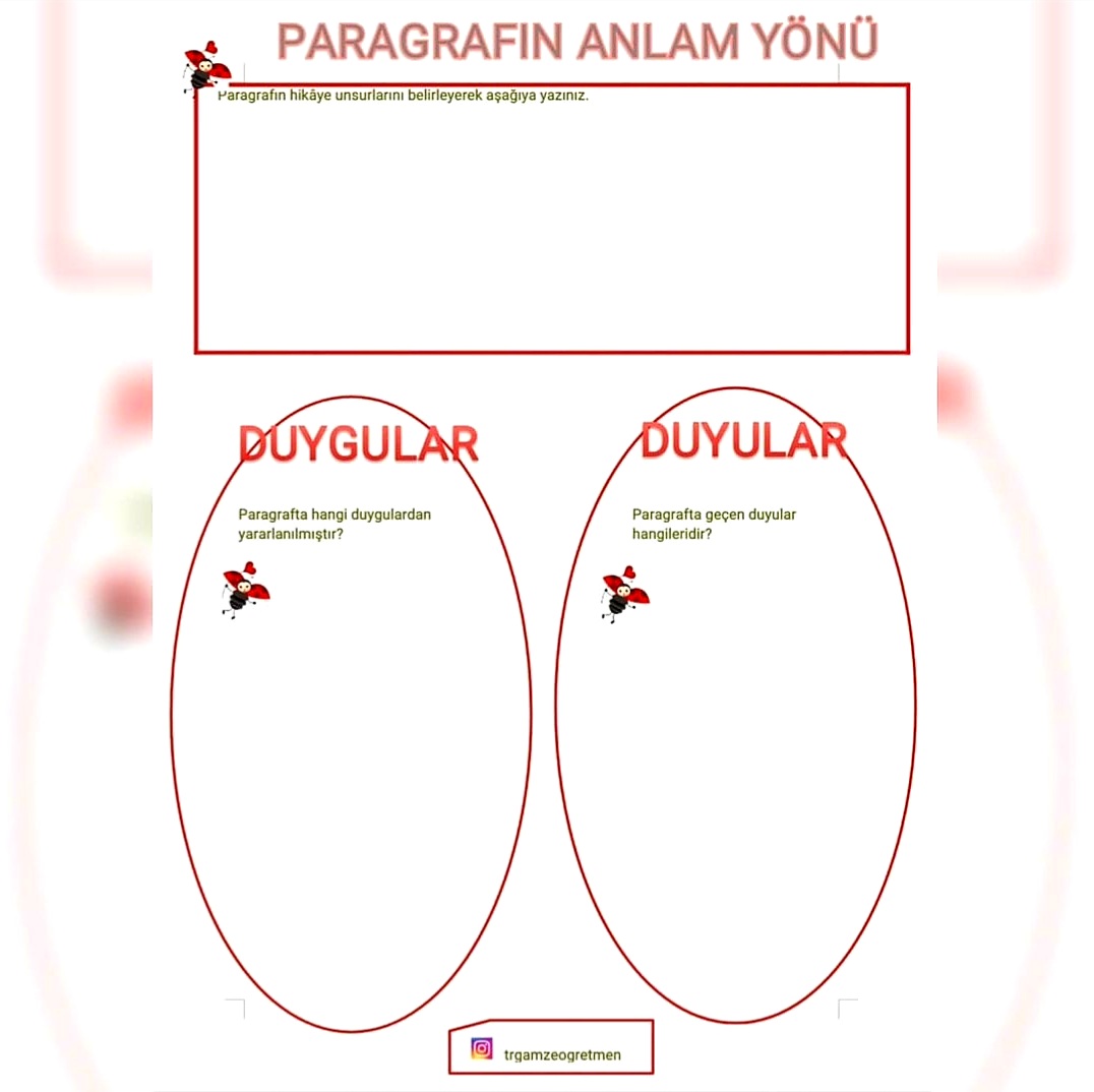 Paragrafın Anlam Yönü 