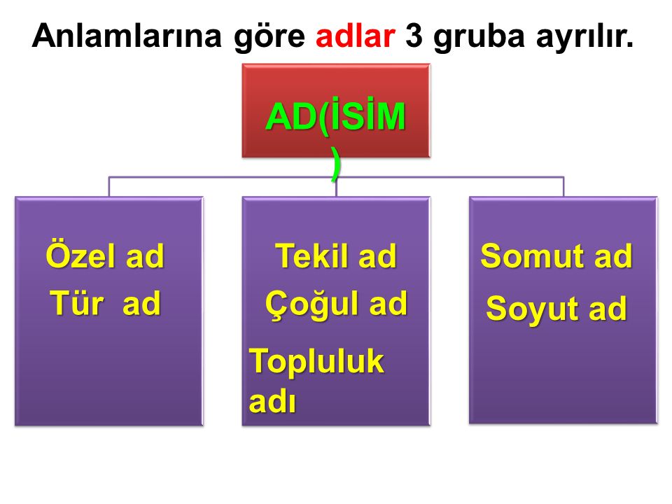Türkçe ADLAR