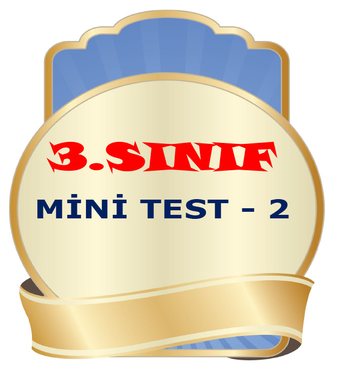3.SINIF MİNİ TEST - 2
