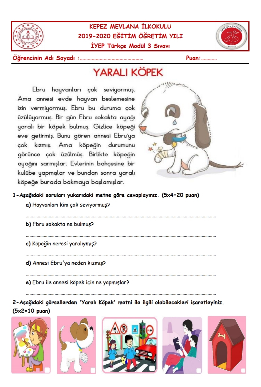 İyep Türkçe Modül-3 Değerlendirme Sınavı