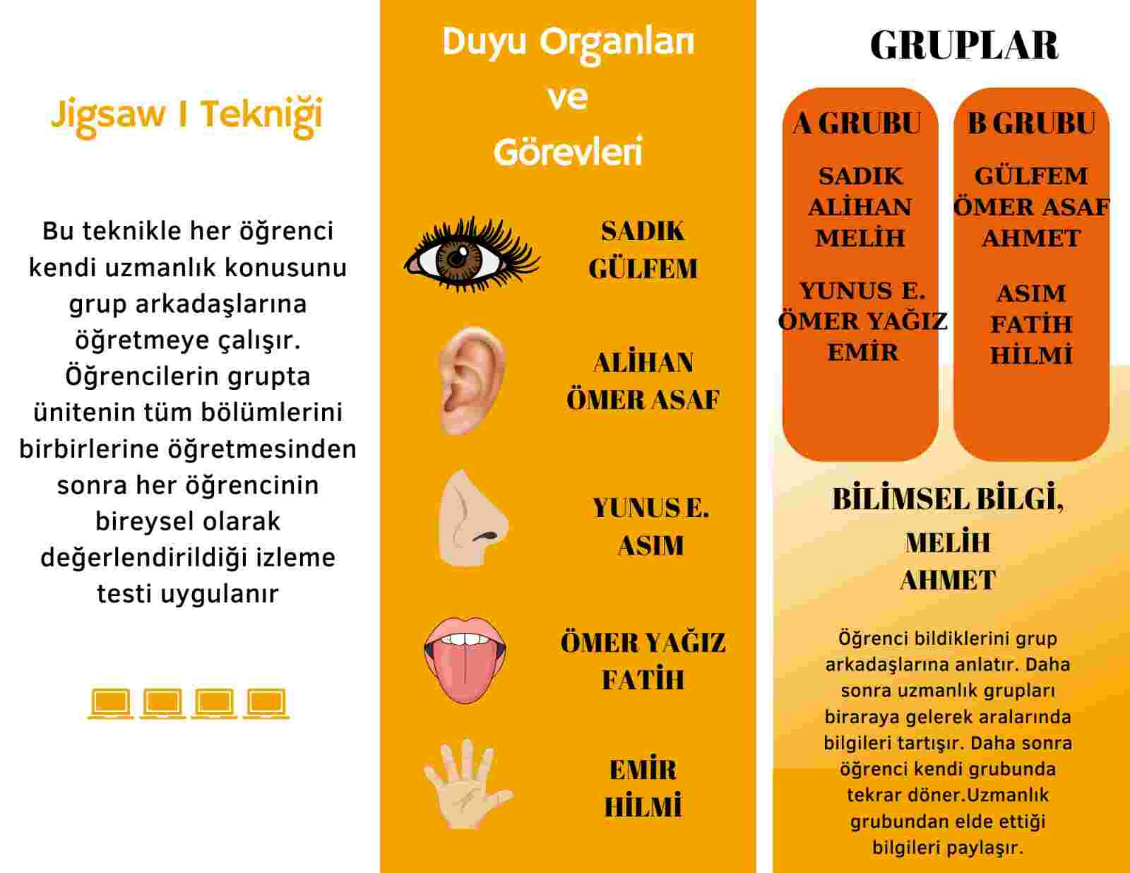 3.SINIF DUYU ORGANLARI VE GÖREVLERİ JİGSAW 1 TEKNİĞİ