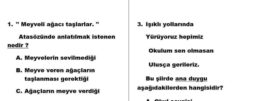 4.Sınıf Türkçe Yazılısı