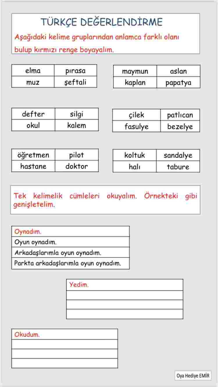 TÜRKÇE ANLAM BİLGİSİ DEĞERLENDİRME